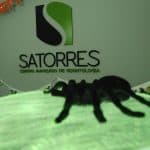 Araña clinica dental satorres