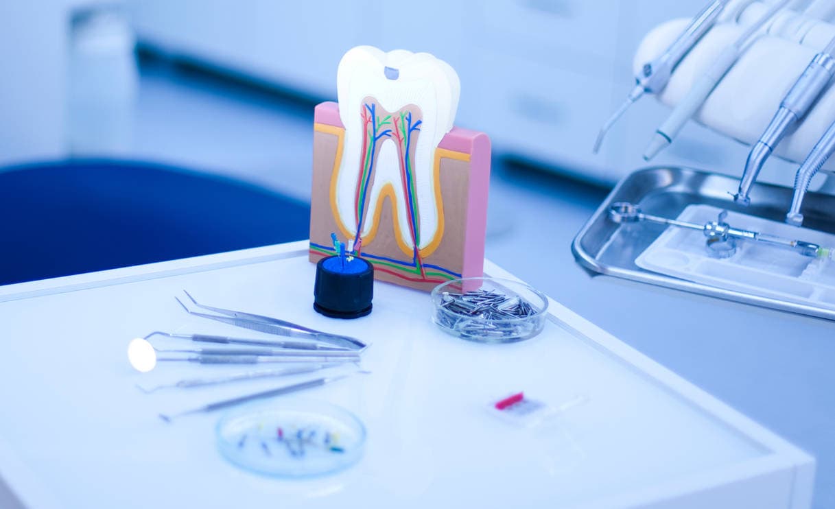 Modelo 3D Gingivitis en Embarazo | Clínica Satorres - Paterna - Manises