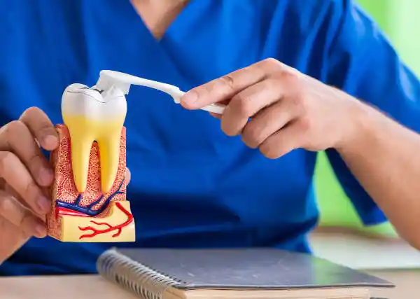 Fluor Cepillado nocturno | Clínica Dental SATORRES - Paterna - Manises